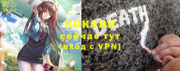 дмт Абаза