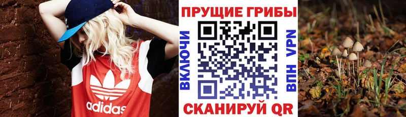 Галлюциногенные грибы Magic Shrooms  хочу   Щучье 